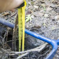 Sinkholes | Florida Department Of Environmental Protection